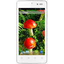 Karbonn Mobiles Titanium S1 Image