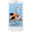 Celkon Celkon A119 Image