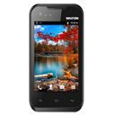 Walton Primo D1 Image