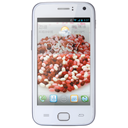 GiONEE GN305 Image