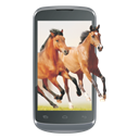 Celkon A20 Image