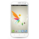 Walton Primo NX Image