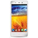 Walton Primo X2 Image