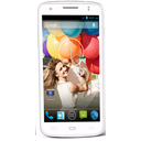 Walton Primo GH Image
