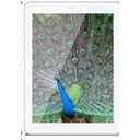 Ainol Novo 8 Discovery Novo 8 Discover Quad Core Image