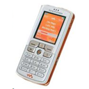 Sony Ericsson W800i Image
