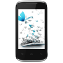 Walton Primo D4 Image