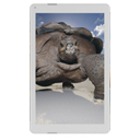 reeder A10i Image