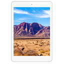 Masstel Tab 840 Image