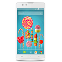 LAVA Iris Alfa L Image