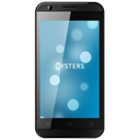 Oysters Indian 254 Image