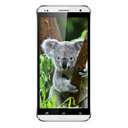 Zenek Koala Z553 Image