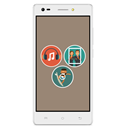 LAVA V2s Image