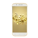 Micromax CANVAS GOLD A300 Image