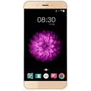 ACCENT Speed Y2 Image
