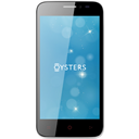 Oysters Atlantic V Image
