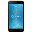 Oysters Pacific E Image