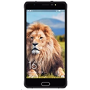 Zenek Leon Z5515 Image