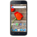 Assistant AS-5411 RITM Image