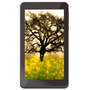 DEXP Ursus NS370i Image