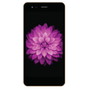 Okapia X1 Image
