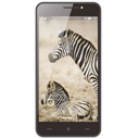 Zenek Zebra Z5516 Image
