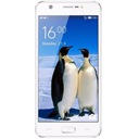 Zenek Pinguino Z5519 Image