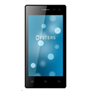 Oysters Atlantic 454 Image