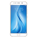 Vivo V5Plus Image