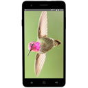 Avvio PRO550 Image
