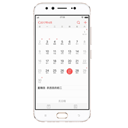 Vivo Y66iA Image
