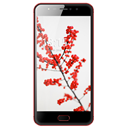 BQ Mobile RICH MAX BQ-5521L Image