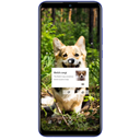 Huawei P Smart+ 2019 POT-LX1T Image